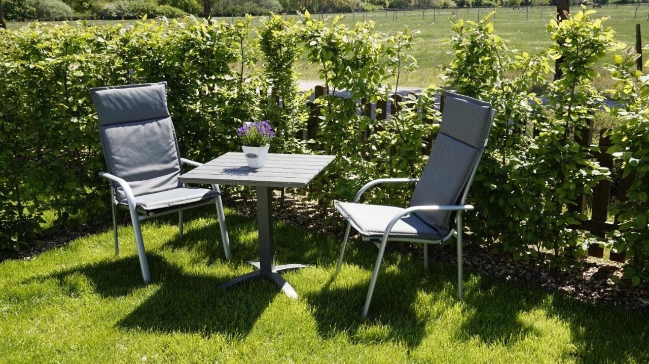 Ferienwohnung Wiesenblick Nahe Region Celle Und Hannover Buchholz Aller Exterior photo