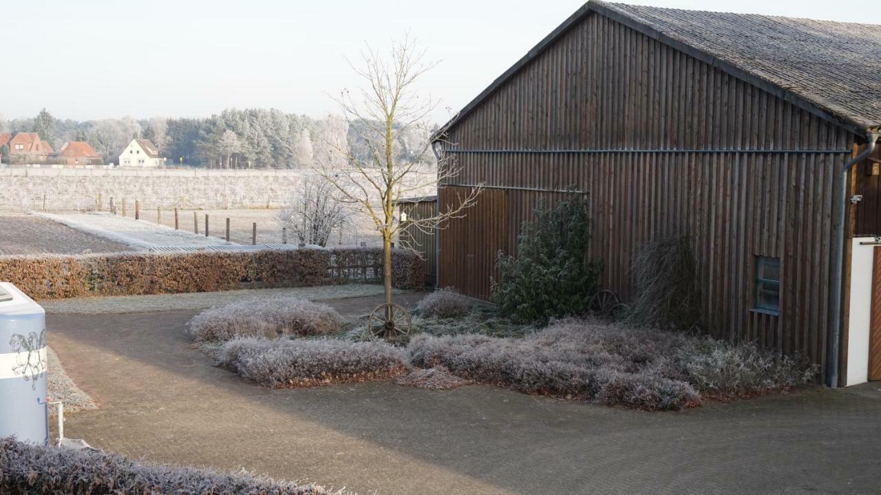 Ferienwohnung Wiesenblick Nahe Region Celle Und Hannover Buchholz Aller Exterior photo